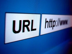 Close-up of a browser address bar showing a URL and web address.